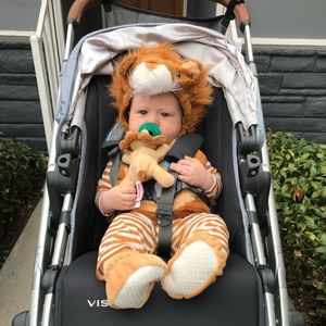Baby Lion Costume